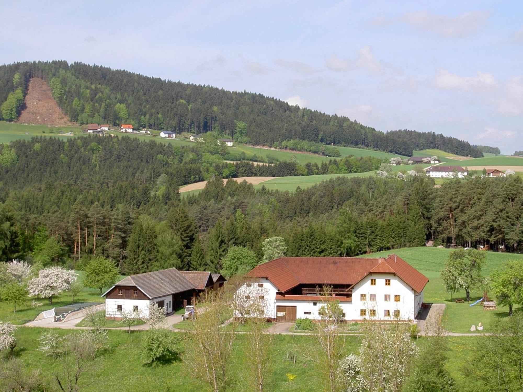 Urlaub Am Bauernhof Wenigeder - Familie Klopf Villa Gutau Ngoại thất bức ảnh